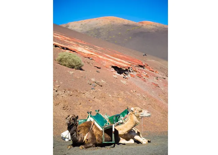 Costa Papagayo 5 Vila *